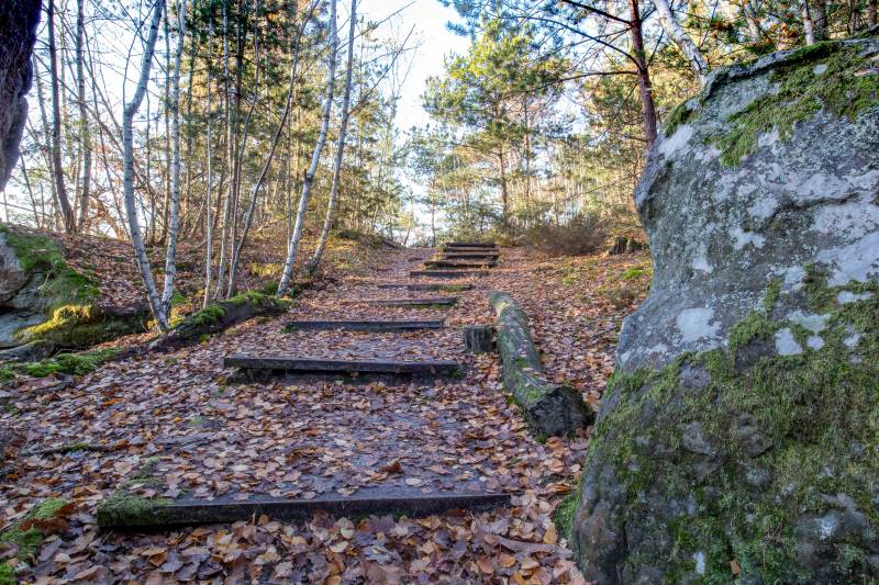 Logis Fontainebleau GR13