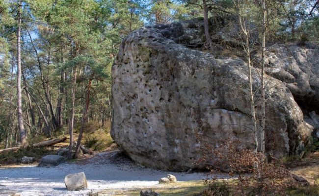 Bleau Eléphant le Gruyère