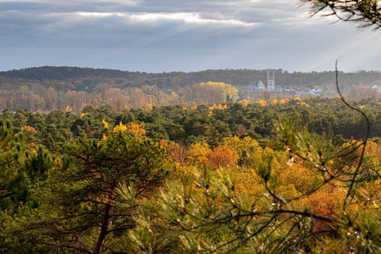 Point de vue sur Larchant