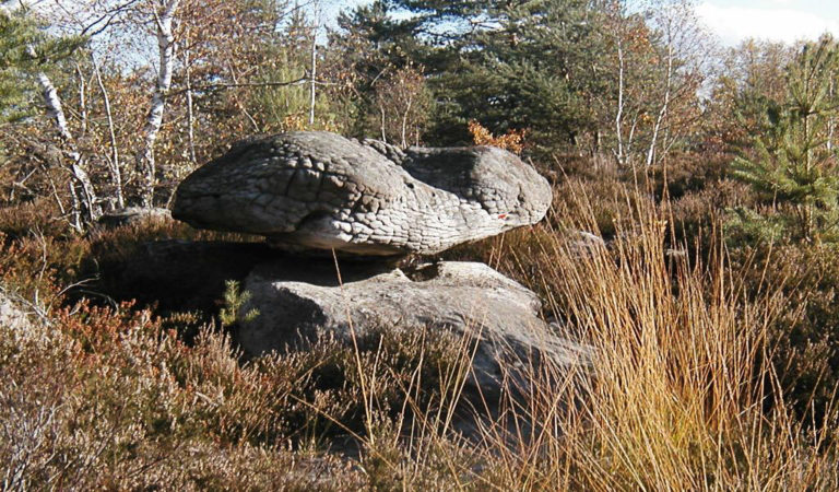 Circuit des 25 bosses