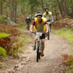 VTT en Foret de Fontainebleau