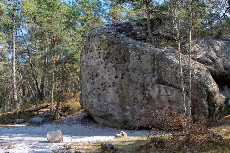 Bleau Eléphant le Gruyère